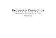 Zongolica, comunidades indígenas en extrema pobreza que necesitan ayuda
