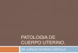 Patologia de cuerpo uterino 2013