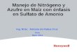Manejo de Nitrógeno y Azufre en Maíz con énfasis en Sulfato de Amonio
