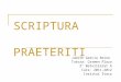 Scriptura Praeteriti