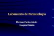 Parasitosis  Dr. Abuin