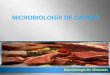 Microbiología de carnes