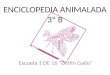 Enciclopedia animalada