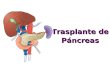Trasplante De Pancreas