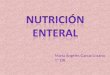 (2013-09-11)NUTRICION ENTERAL(PTT)