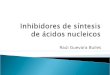 Inhibidores De Síntesis De ácidos Nucleicos