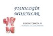 Fisiopatologia iv  sal fisiologia muscular