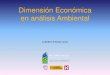 Dimensión económica en Análisis Ambiental