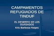 Campamentos refugiados de tinduf[