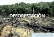 Deforestaciòn . juli silva