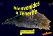 Bienvenidos A Tenerife