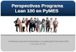 Perspectivas Programa Lean 100 en PYMES