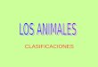 Animales: clasificaciones