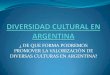 Diversidad cultural argentina