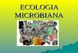 4. microb comun ecologia microbiota humnorm,