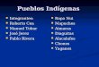Pueblos IndíGenas
