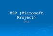 Msp (microsoft project)
