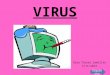 Tipus virus