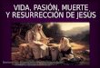 Vida, pasion, muerte y resurreccion de jesus