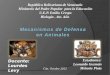 Biología 4to año   significado de la vida - mecanismos de defensa en animales - profesora lourdes levy - colegio emilio crespo - cúa - octubre 2012