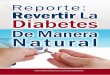 Reporte Revertir La Diabetes de Manera Natural | Descargar Gratis Revertir La Diabetes Pdf