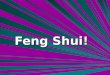 Feng Shui!
