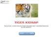 02 políticas tiger kidnap