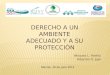 Presentación final de Práctica Comunitaria - "Derecho a un ambiente adecuado y a su protección"