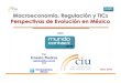 Macroeconomía, regulación y TICs: Perspectivas de evolución en México