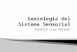 Semiologia del sistema sensorial