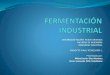 Fabricación de Alcohol Industrial - Fermentación Industrial - Industrial Alcohol Production