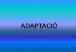ADAPTACIÓ P3 2013-2014
