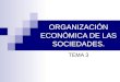 La organización de la economía
