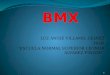 Diapositivas del bmx