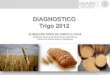 DIAGNOSTICO Trigo 2012
