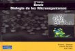 Brock   biología de los microorganismos 10 edición