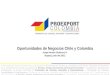 Oportunidades de negocios Chile y Colombia - Jorge Gutiérrez