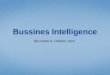 Bussines Intelligence