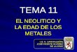 Tema 11   El Neolitico Y La Edad De Los Metales