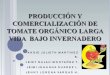 ProduccióN Y ComercializacióN De Tomate OrgáNico Larga Vida