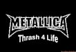 Metallica Thrash 4 Life