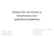 DETECCIÓN DE OLORES Y FEROMONAS CON QUIMIORRECEPTORES. Fisiología Médica II