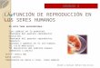 Tema 2   La FuncióN De ReproduccióN En El Ser Humano