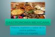 Gastronomia mexicana1