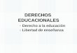 Derecho Constitucional I Chile: Derechos educacionales