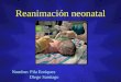 Rcp en neonatología
