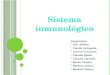 Sistema inmunologico 2012