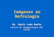 Imágenes en Nefrología