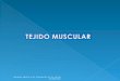 Muscular blog