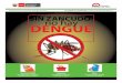 Sin Zancudo No Hay Dengue - Suplemento Ministerio de Salud (Minsa)